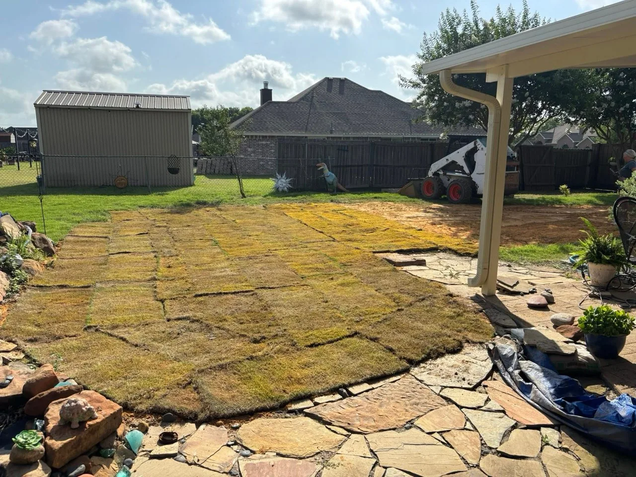 Finished koi pond area with fresh sod laid next to the flagstone patio
